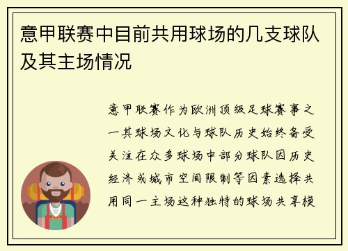 意甲联赛中目前共用球场的几支球队及其主场情况